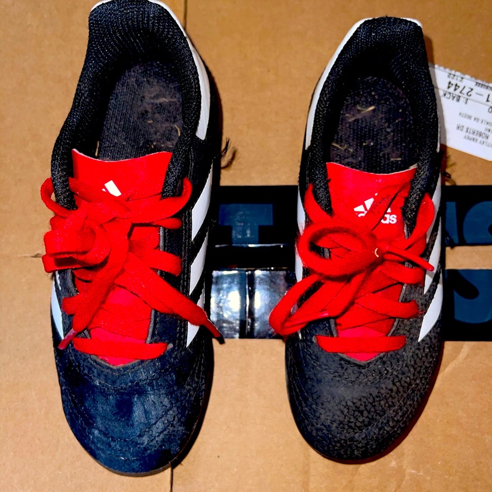 Sport Shoes